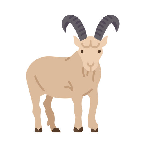 Alpine Ibex