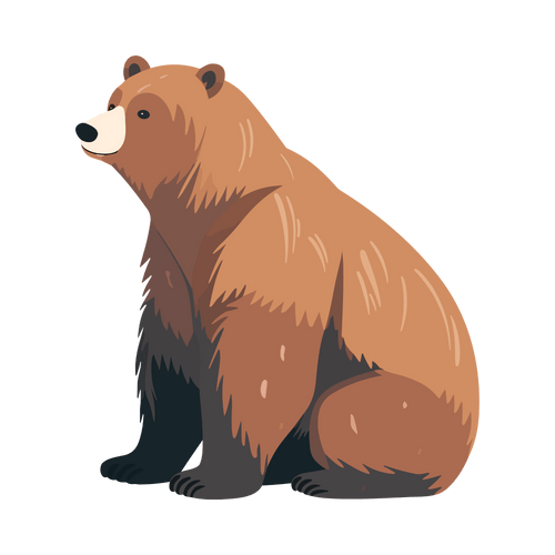 Marsican Brown Bear