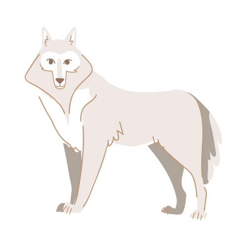 Italian Wolf