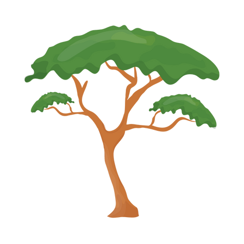Stone Pine