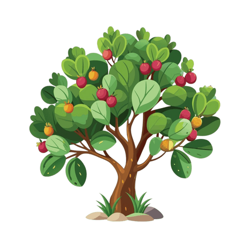 Strawberry Tree